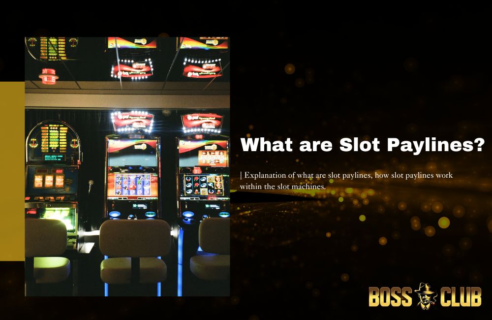 bc55 what are slot paylines