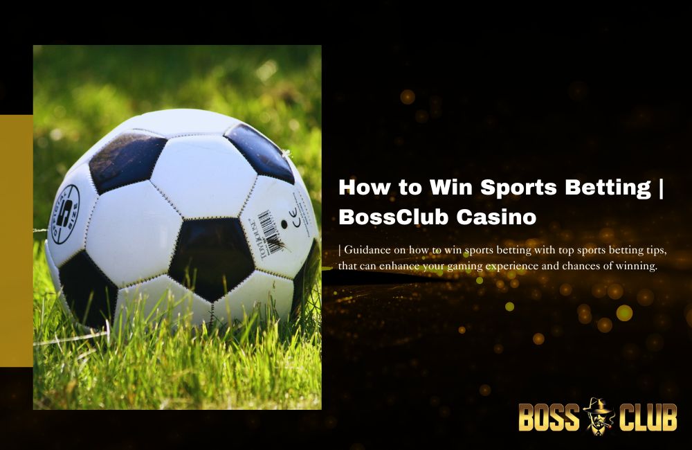 bc55 how to win sports betting