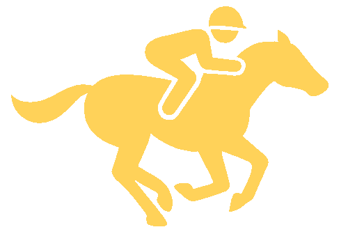 bc55 horse racing type flat racing