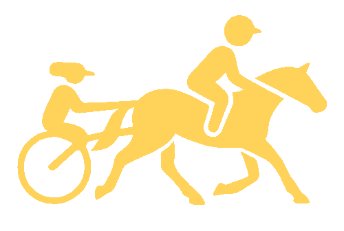 bc55 horse racing type harness racing