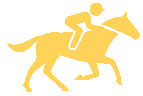bc55 horse racing type jump racing