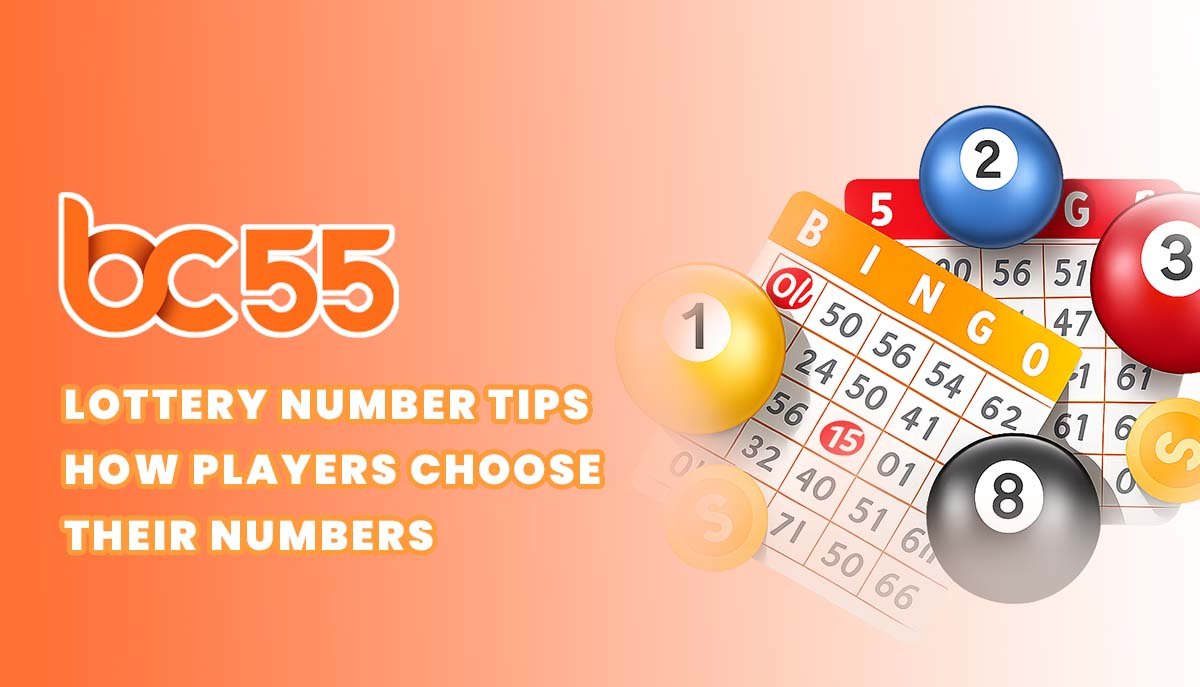 bc55 talk about lottery number tips